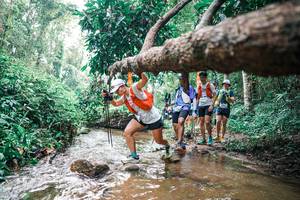 BIB: 
                            <button type="button" onclick="openModal(25374388)" class="btn btn-primary btn-sm float-right btn-popup" data-toggle="modal" data-target=".modal-high-quality">
                        <i class="fas fa-shopping-cart"></i> Add to Cart
                    </button>
                                            <button type="button" onclick="isThisMe(25374388, true)" class="btn btn-success btn-sm float-right btn-popup btn-isme hidden" data-toggle="tooltip" data-placement="bottom" title="นี่คือรูปของคุณใช่ไหม คลิกที่นี่เพื่อเอาเข้าอัลบั้ม">
                        <i class="fas fa-plus"></i> Add to album
                    </button>
                    <button type="button" onclick="isThisMe(25374388, false)" class="btn btn-warning btn-sm float-right btn-popup btn-isnotme hidden">
                        <i class="fas fa-ban"></i> Remove from album
                    </button>